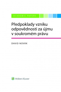 Předpoklady vzniku odpovědnosti za újmu v soukromém právu (E-kniha)